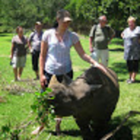 Meet your Posher, Emily - Picture 1 of 1